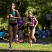 43º Cross de Castelló