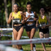 43º Cross de Castelló