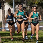 43º Cross de Castelló