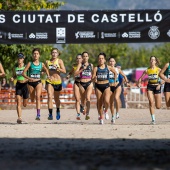 43º Cross de Castelló