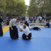 Japó a Castelló