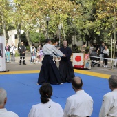 Japó a Castelló