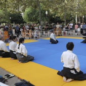 Japó a Castelló