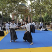 Japó a Castelló