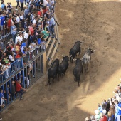 Encierro