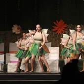 Gaiata 5 Hort dels Corders