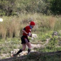 XIII marató i mitja 2011. Éxito de participación