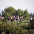 XIII marató i mitja 2011. Éxito de participación