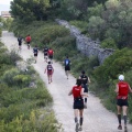 XIII marató i mitja 2011. Éxito de participación