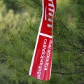 XIII marató i mitja 2011. Éxito de participación