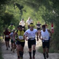 XIII marató i mitja 2011. Éxito de participación