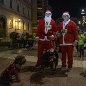 San Silvestre