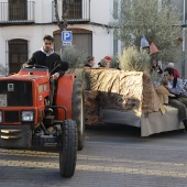 Procesión en honor a San Antonio Abad