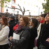 Castelló EsXiste, Xipell