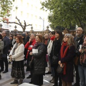 Castelló EsXiste, Xipell