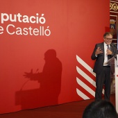 Diputación de Castellón, nueva imagen