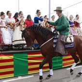 Festividad de San Antonio