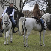 Festividad de San Antonio