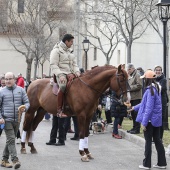 Festividad de San Antonio