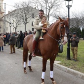Festividad de San Antonio