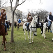 Festividad de San Antonio