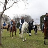 Festividad de San Antonio