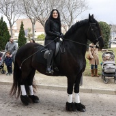 Festividad de San Antonio