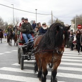 Festividad de San Antonio