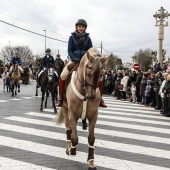 Festividad de San Antonio