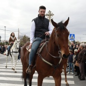 Festividad de San Antonio