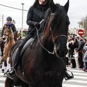 Festividad de San Antonio