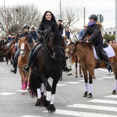 Festividad de San Antonio