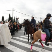 Festividad de San Antonio