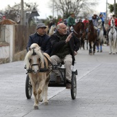 Festividad de San Antonio