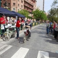 Castellón, Prueba del litro