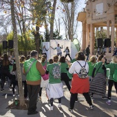 VII Marcha contra el cáncer en Castelló
