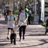 VII Marcha contra el cáncer en Castelló