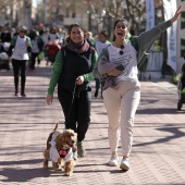 VII Marcha contra el cáncer en Castelló