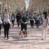 VII Marcha contra el cáncer en Castelló