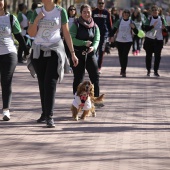 VII Marcha contra el cáncer en Castelló