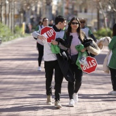 VII Marcha contra el cáncer en Castelló