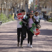 VII Marcha contra el cáncer en Castelló