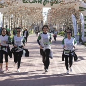 VII Marcha contra el cáncer en Castelló