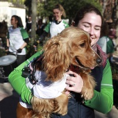 VII Marcha contra el cáncer en Castelló