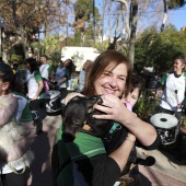VII Marcha contra el cáncer en Castelló