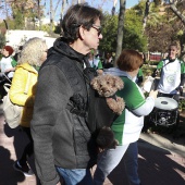 VII Marcha contra el cáncer en Castelló