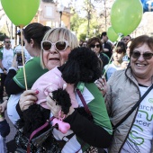 VII Marcha contra el cáncer en Castelló