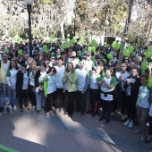 VII Marcha contra el cáncer en Castelló