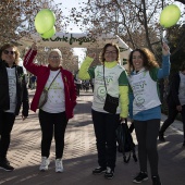 VII Marcha contra el cáncer en Castelló