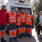 VII Marcha contra el cáncer en Castelló